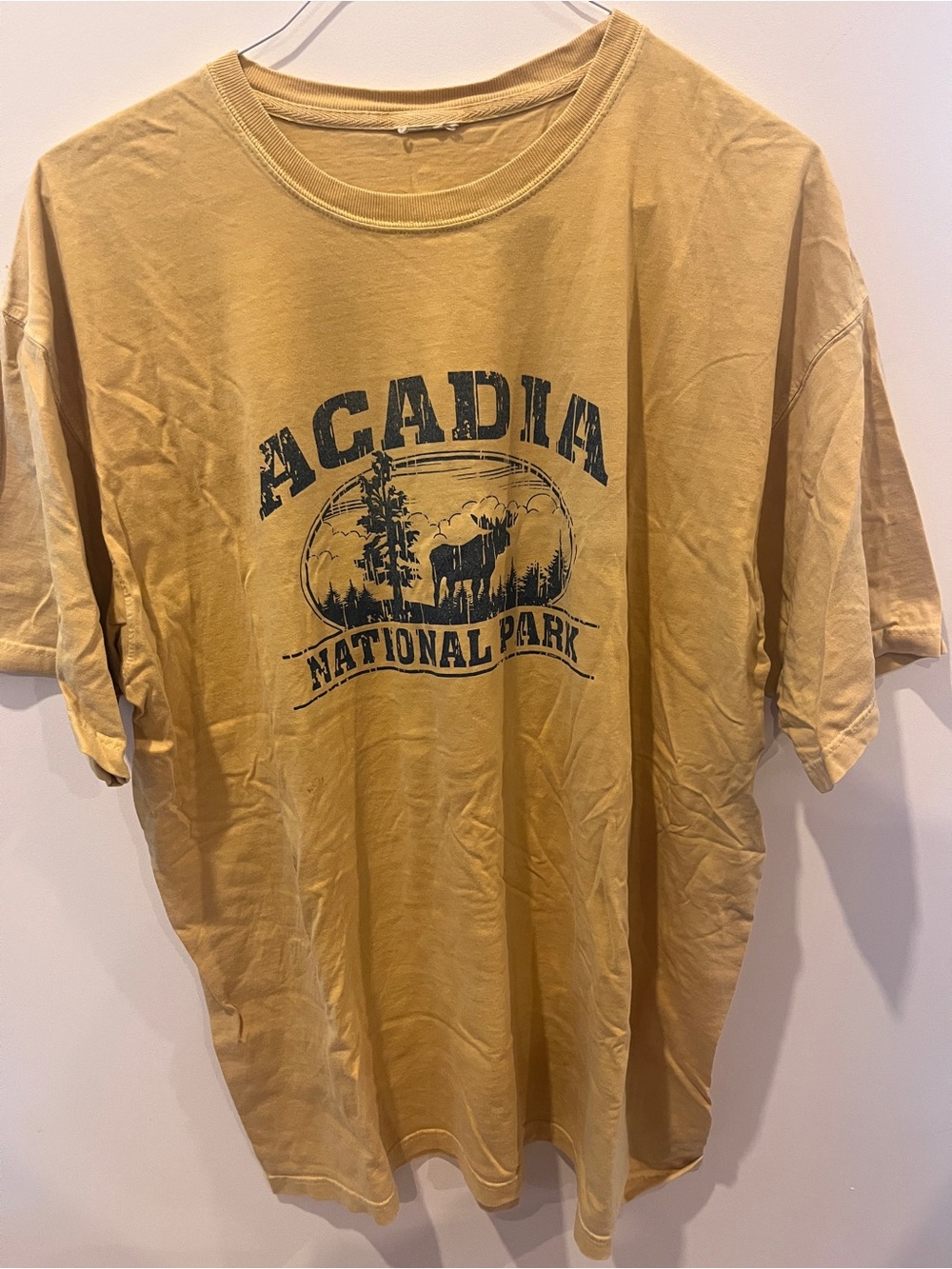 Acadia National Park Graphic Tee - Mustard